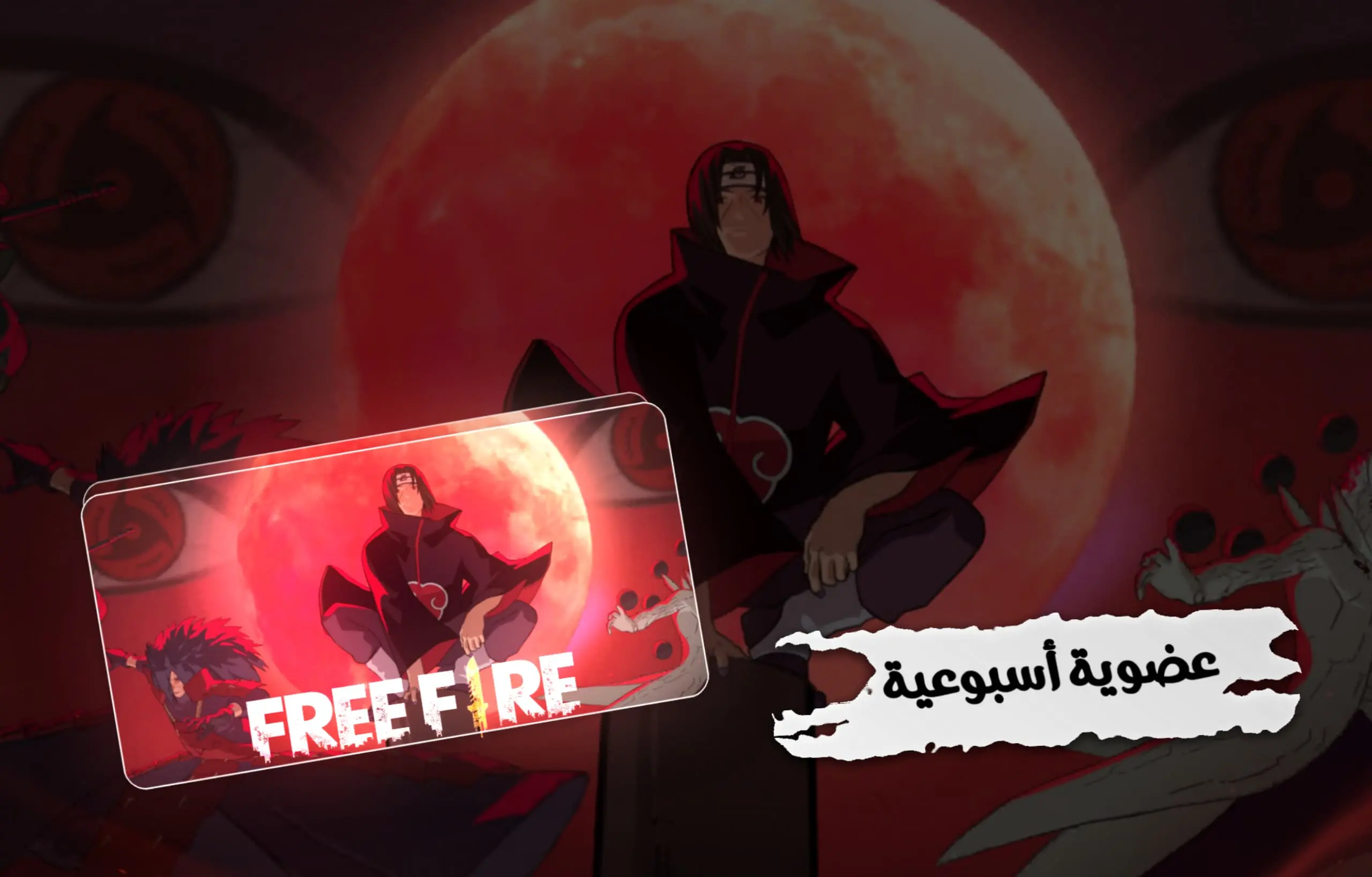 عضوية أسبوعية 